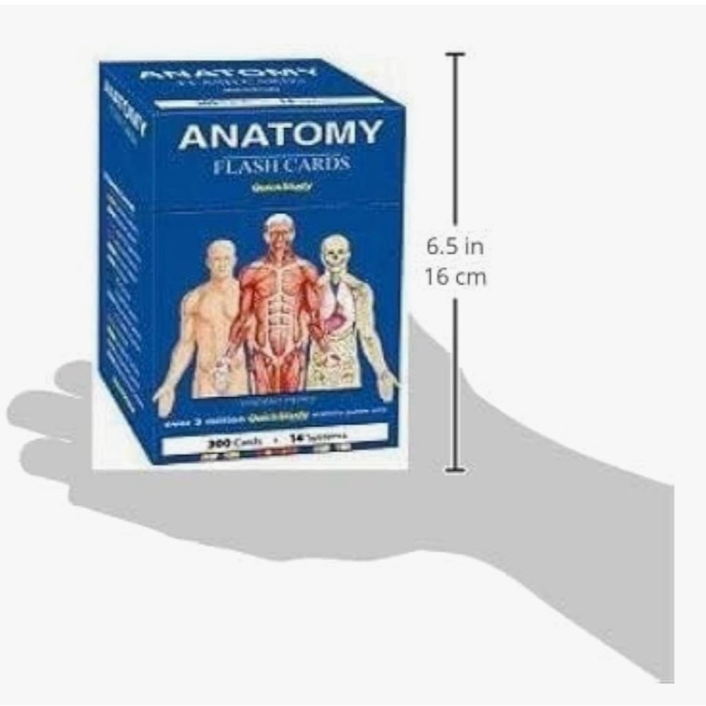 Anatomy Flash Cards by QuickStudy - Picture 2 of 5